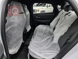 بی وای دی Qin Plus